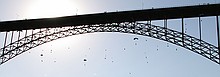 Freefall