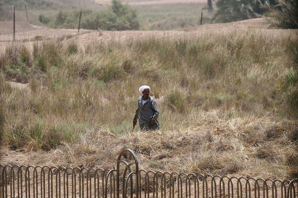 Worker