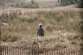 Worker