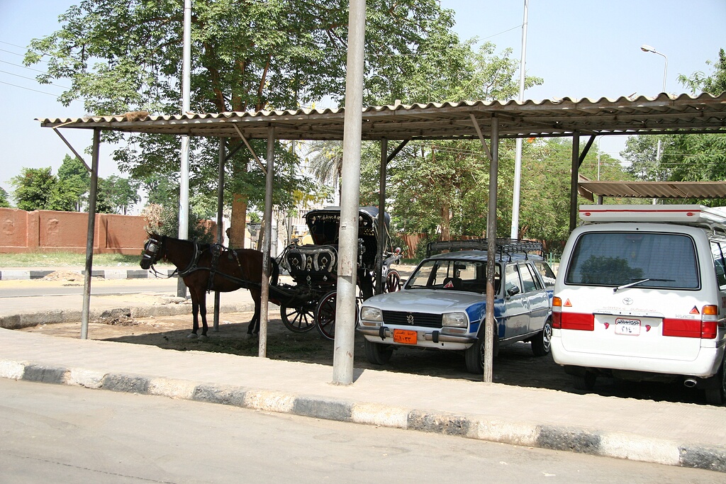 Three modes of transportation under one roof -- horse buggy, taxi, and microbus